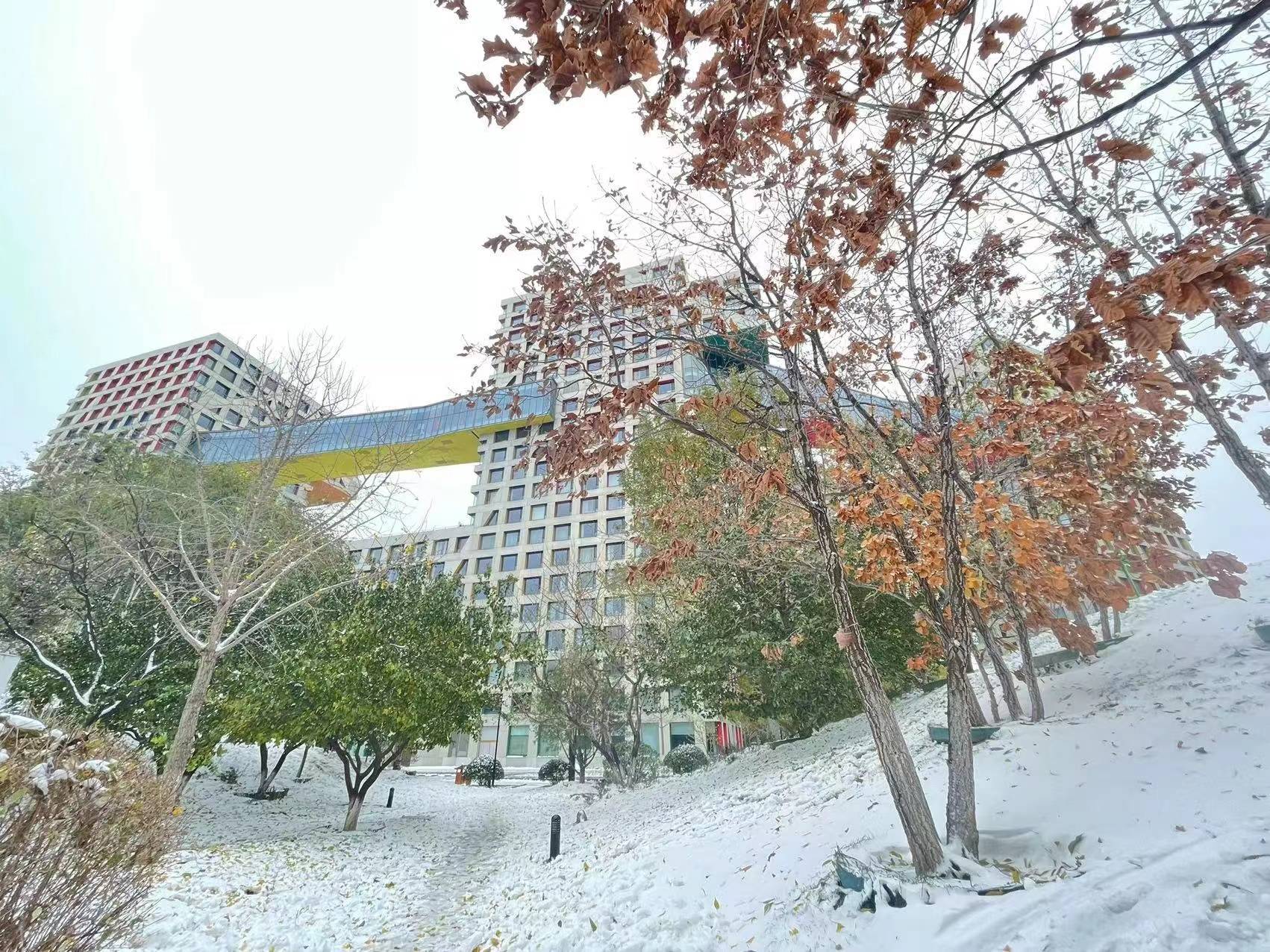 大雪如约而至 我们从不缺席